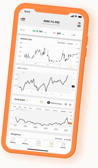 test dev digitale webapplicatie op mobiel apparaat